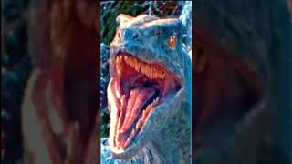 Sabor Vs Blue Raptor