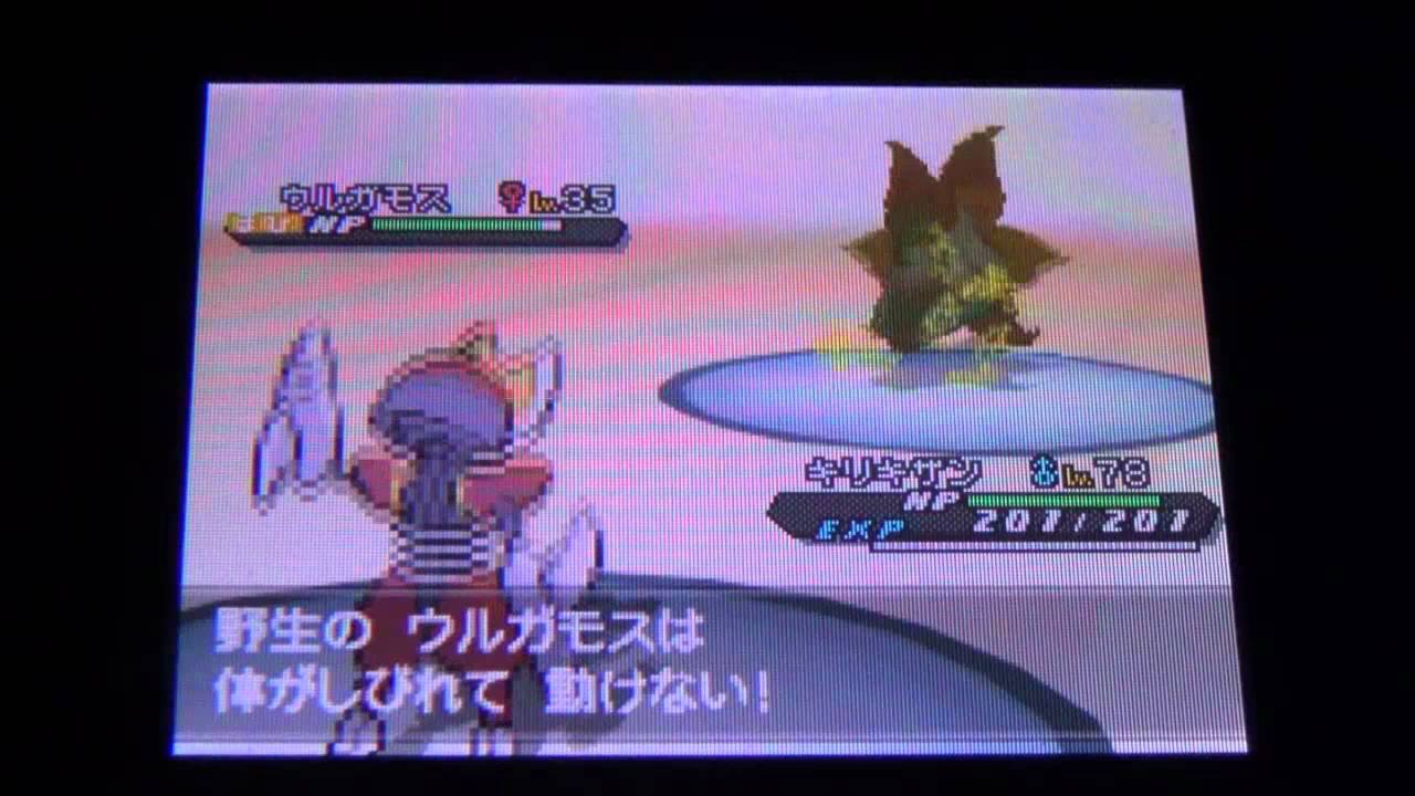 ポケモンbw2 ウルガモスを捕獲せよ Youtube