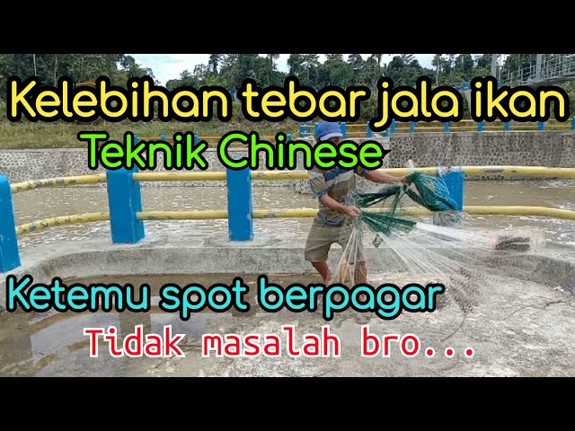 Kelebihan tebar jala ikan teknik chinese class=