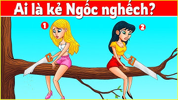 Những câu đố thối não #1 Ai là kẻ ngốc nghếch?