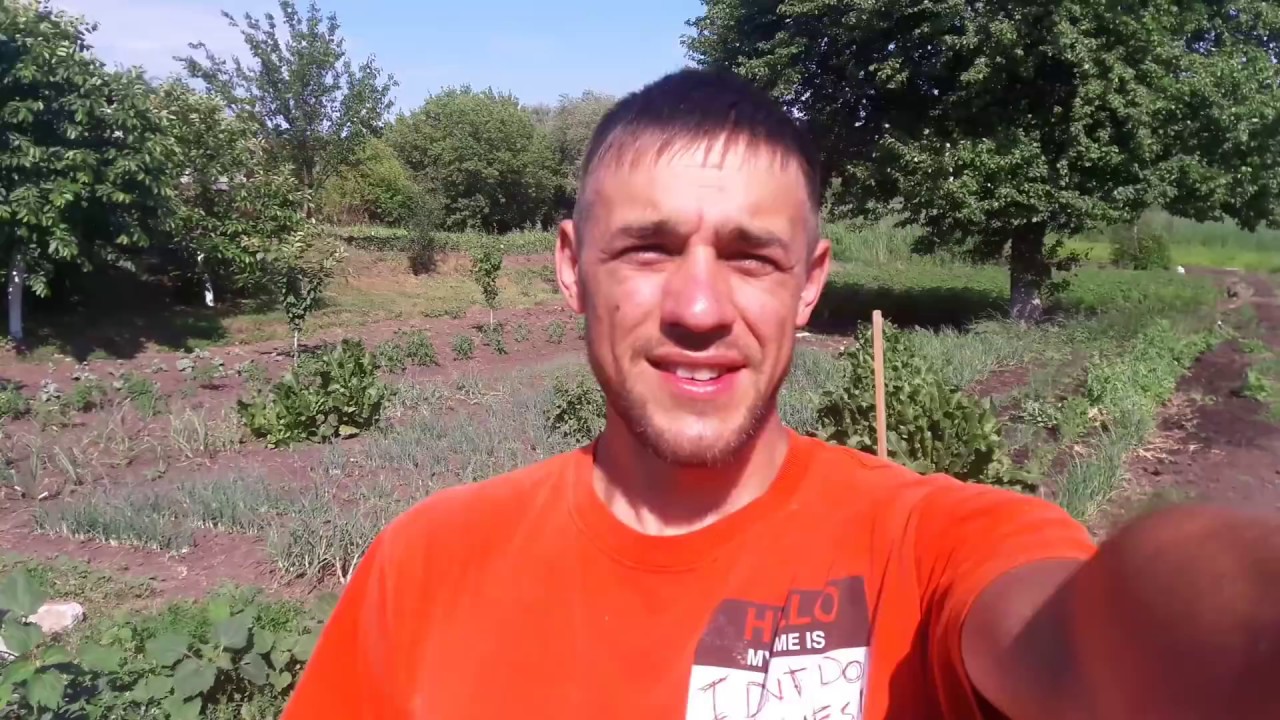 Новые жители прибыли//гуси Мамуты//речка в огороде