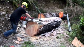 How to mill a tree using an Alaskan Chainsaw mill