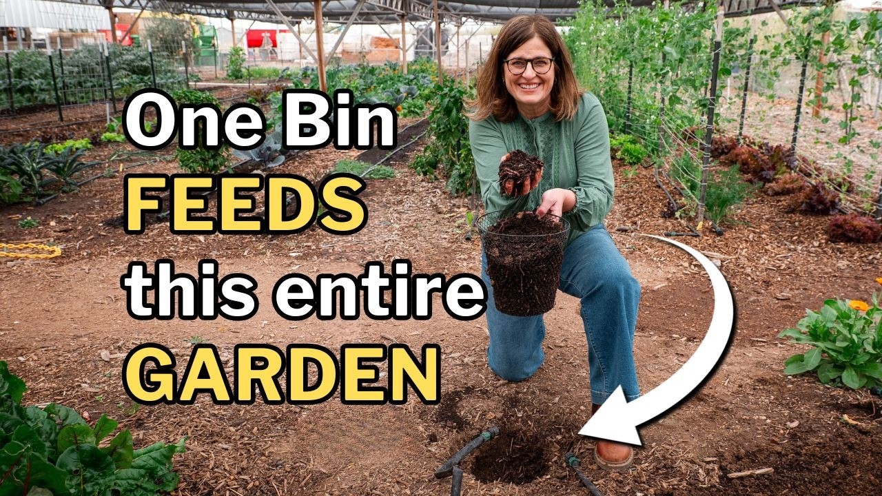 What these worms do will TRANSFORM your garden: In-Bed Vermicomposting