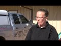 5 dogs quarantined after Mountainair exposure, officals to release new info Friday