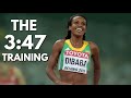 Genzebe dibaba 2 insane training workouts genzebedibaba