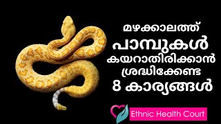 മഴക്കാലത്ത് പാമ്പുകൾ കയറാതിരിക്കാൻ ശ്രദ്ധിക്കേണ്ട 8 കാര്യങ്ങൾ | Ethnic Health Court