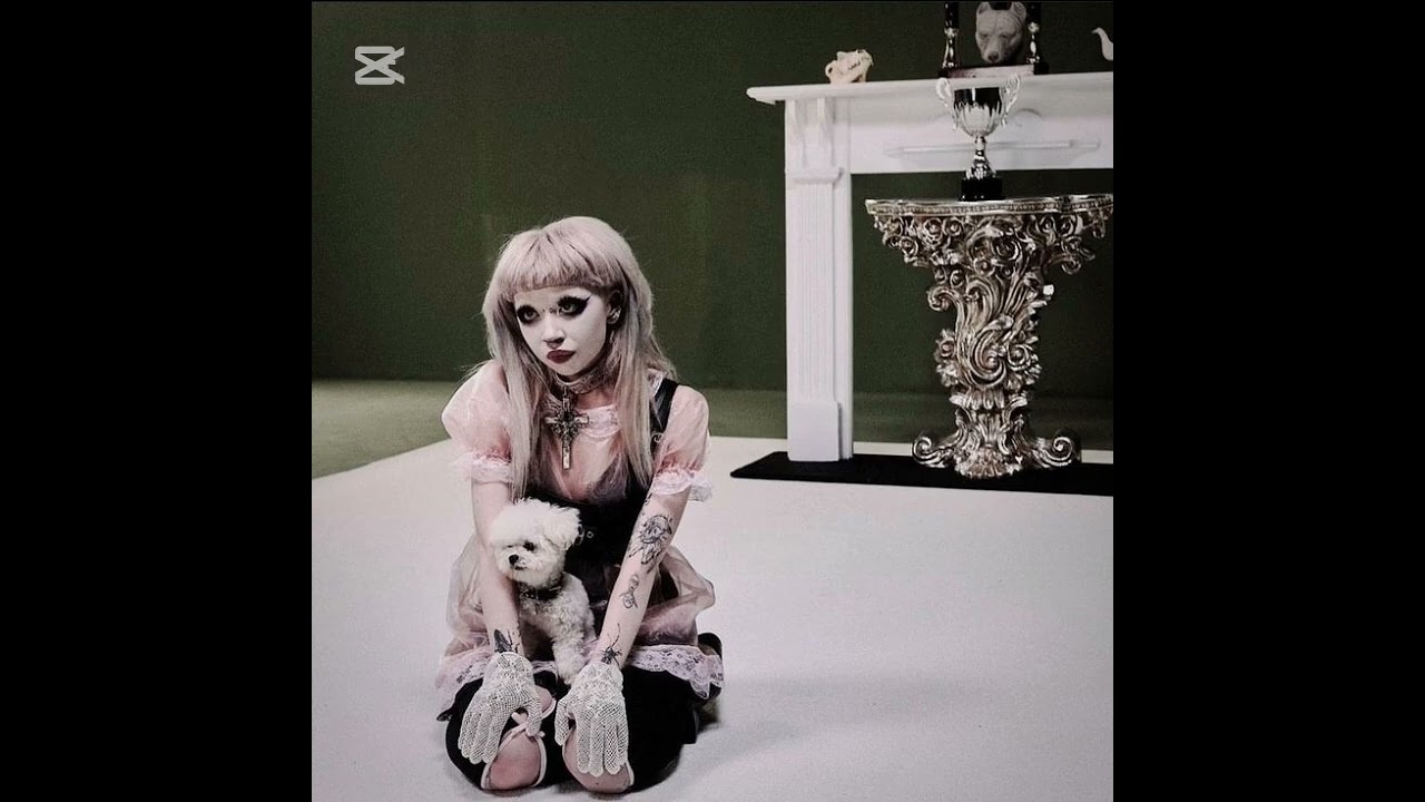 jazmin bean puppy pound demo 1 snippet