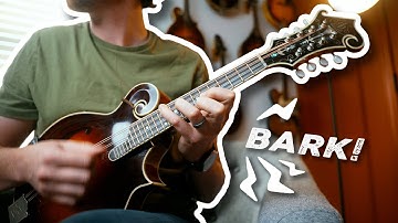 Make Your Mandolin Chop BARK!
