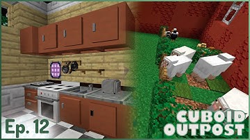 Minecraft Cuboid Outpost | Creating Animals | Ep.12