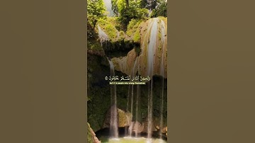 "تلاوة مؤثرة - سورة يونس الآية 44 | إن الله لا يظلم الناس شيئًا | بصوت جميل