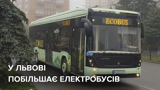 У Львові побільшає електробусів | Новини Львова. Коротко