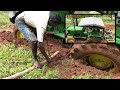 How to take out tractor from mud | How to remove tractor from mud pit | Erode Dhanush