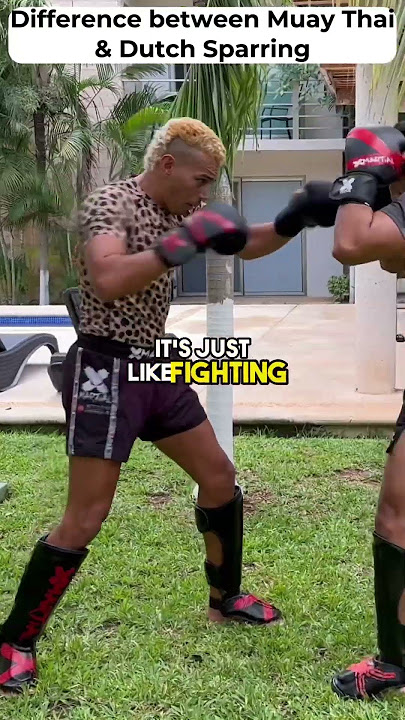 Download lagu Difference between Muay Thai Sparring and Dutch Sparring! Did you know this? #muaythaiforbegginers