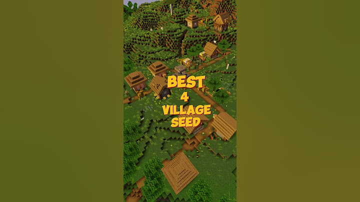 BEST 4 VILLAGE SEED #shorts