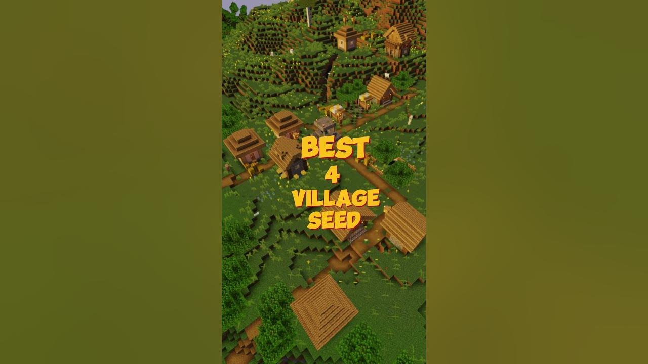 BEST 4 VILLAGE SEED #shorts