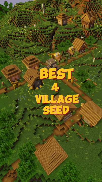 BEST 4 VILLAGE SEED #shorts
