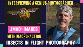INTERVIEWING A MACRO INSECT IN FLIGHT GENIUS PHOTOGRAPHER JMAD_IMAGES ABOUT PHOTOS AND VIDEOGRAPHY