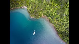 Exploring Marlborough Sounds, New Zealand