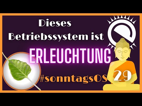 Der erleuchtende Minimalismus - Bodhi Linux 6.0.0 - #sonntagsOS - 29