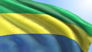 Gabon Flag - 100% Free Stock footage - 2560x1440 25fps 10sec | drapeau gabonais