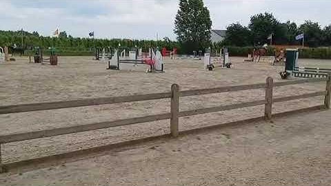 DHT 27-12-2025: U-Ma, mare, 2020 by Mugano van Klapscheut