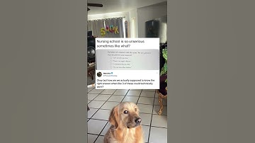 Which is the wrong answer?