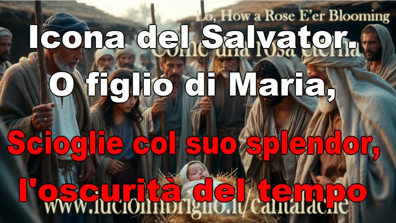 Come una rosa eterna - karaoke cantafacile