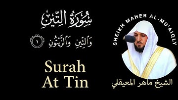 95 | Surah At-Tin | سورة التين | Sheikh Maher Al-Mu'aiqily | الشيخ ماهر المعيقلي  | Chapter 95