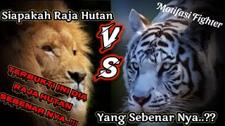 Story Wa harimau putih kata kata bijak//story wa viral terbaru//story wa macan putih dan singa