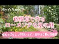 【ガーデニング*ローメンテナンスな宿根草ガーデン🌻】購入苗の紹介と真夏も美しい花で華やぐおしゃれな庭づくり