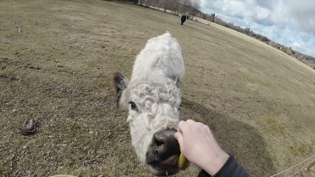 Påske ferie i Sverige !