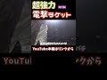 海外製の電撃ラケットが凄すぎた #shorts #野食ハンター #スズメバチ