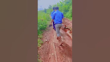 Chi đoàn trường PTDTBT Tiểu học Nậm Ty.