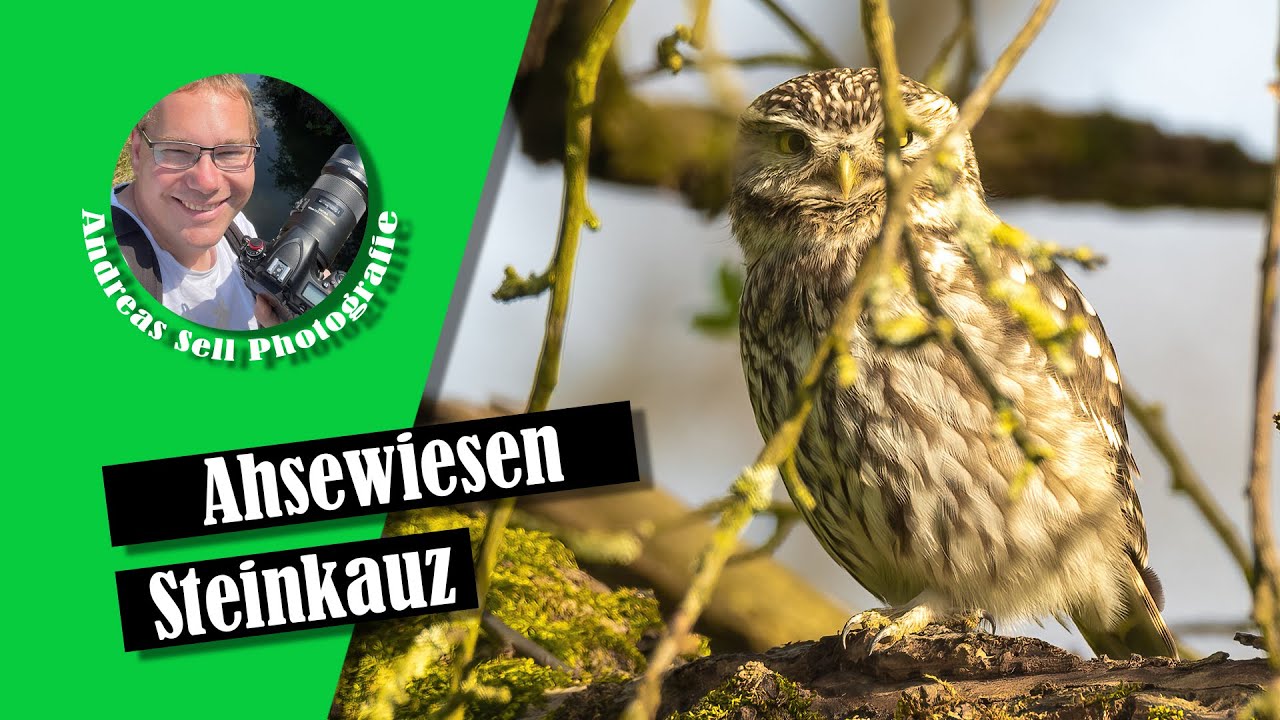 Disselmersch und Ahsewiesen YouTube