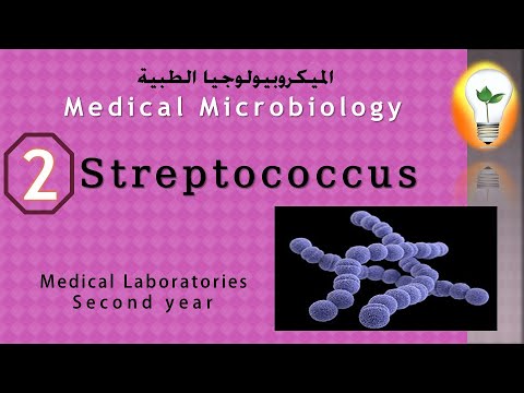 Medical Microbiology (2): Streptococcus البكتريا العقدية - السبحية