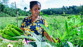 Today I made a healthy diet with natural vegetables from okra .village kitchen recipe  .okra recipes