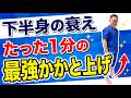 【50代から必見】かかと上げの効果は？正しいやり方と骨粗鬆症の注意点