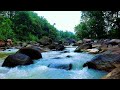 Deep Sleep River Sounds Flowing Gently Past Soft Sand and Polished River Rocks