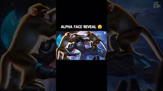 Alpha Face Reveal