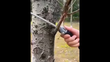 Discover the Best Outdoor Portable Garden Hand Saw for Effortless Cutting