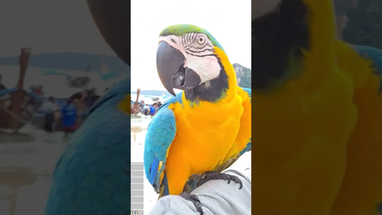 Ну, этого не должно было случиться...