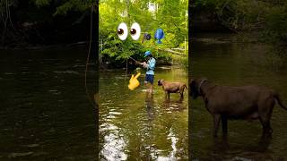 Catch and release #fishing