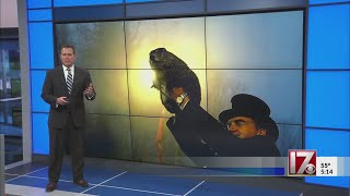 Can groundhogs really predict the arrival of spring?