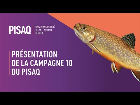 Présentation de la campagne 10 du PISAQ (Dre Geneviève Côté)