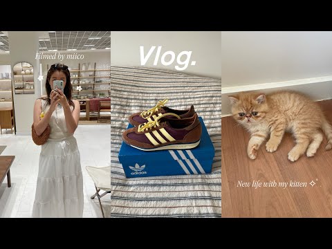 海外で働く社会人vlog👩🏻‍💻🥐子猫ちゃんとの生活スタート, adidas, ZARA HOME購入品🐈💫
