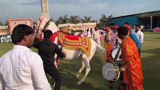 Nath music world. Dhol been party Haryanvi music. Mobile number 9991013388. 9466857932