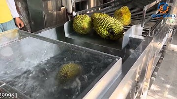 MÁY RỬA SẦU RIÊNG, MÍT XUẤT KHẨU - DÂY CHUYỀN RỬA TRÁI CÂY CÔNG XUẤT 1-5 TẤN/H - MÁY RỬA NÔNG SẢN