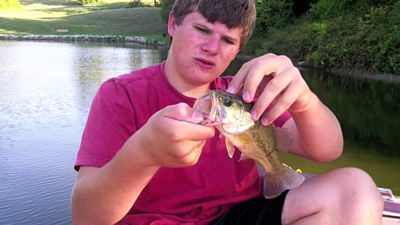 Fishing For Late Summer Bass With Lipless Crank Baits 
