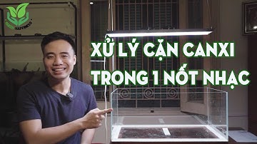 Cách tôi xử lý cặn canxi bám vào kính #Greenhappiness