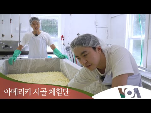[아메리카 시골 체험단] 200년 된 치즈공장에 가다